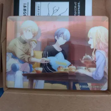 프로세카 노블 아트 아오야기 토야 텐마 츠카사 텐마 사키