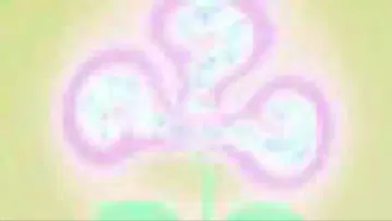 포차코