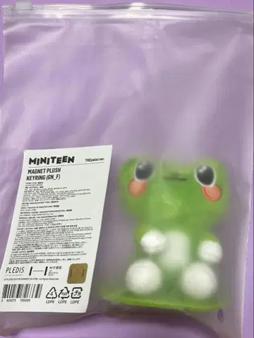miniteen seventeen 마그넷 키링