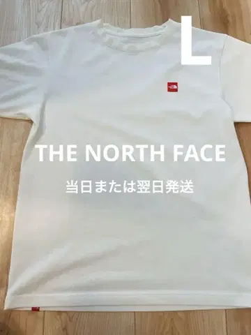 THE NORTH FACE 화이트 티셔츠 사이즈 L