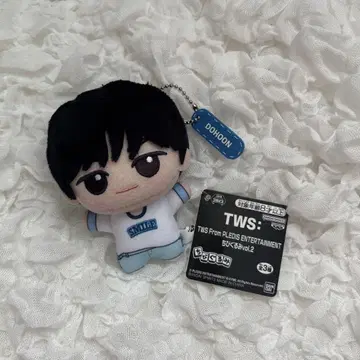 TWS 투아스 SD 인형 vol.2 DOHOON 도훈 남코 한정판