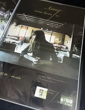 Aimer insane dream / us B2 포스터