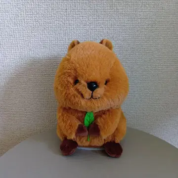 모방 애니멀 콰카왈라비