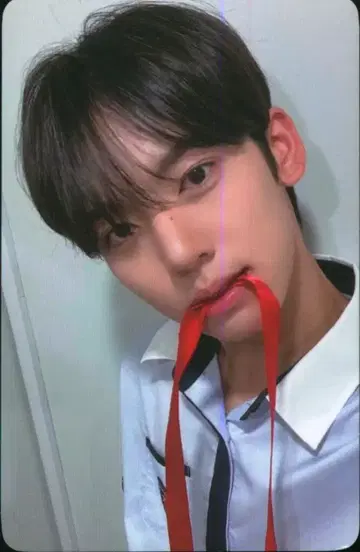 제로베이스원 위드무 유진 유스 인 더 쉐이드