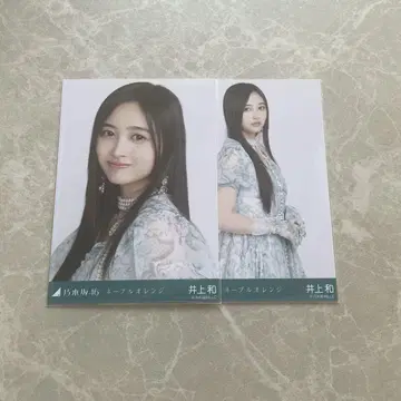 이노우에 카즈 네이블 오렌지 세미 네이비