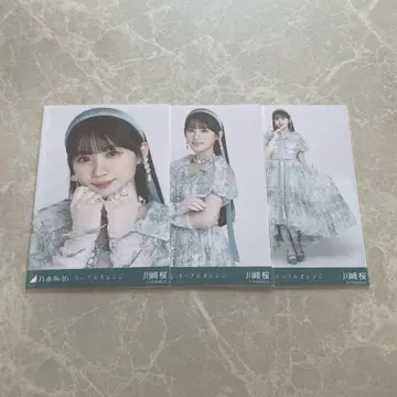 카와사키 벚꽃 네이블 오렌지 컴프