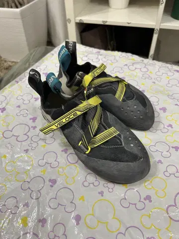 스카르파 벨로체 39