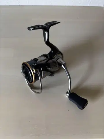 Daiwa 20 루비아스 FC LT2000S-XH