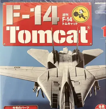 아셰트 톰캣 F-14