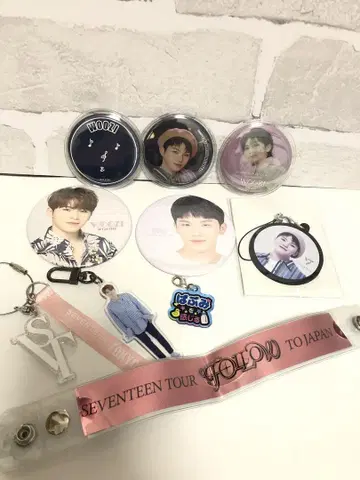 SEVENTEEN 우지 캔뱃지 키링 세트 세부치 실버 테이프