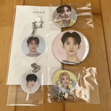 세븐틴 조슈아
