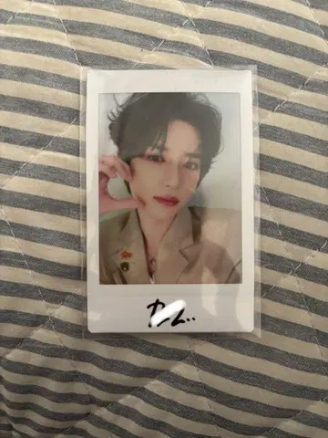 봄규 폴라로이드 DREEM WEEK