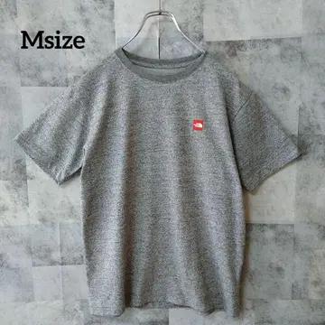 THE NORTH FACE Msize 원포인트 반팔 티셔츠  그레이