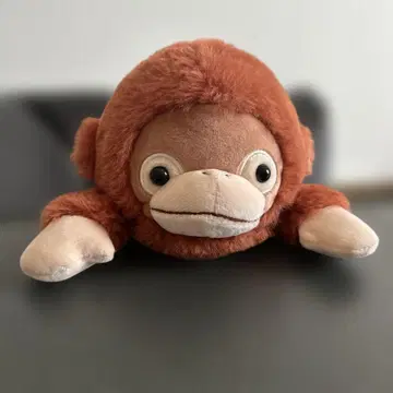 드림즈 펑바루즈 오란우탄