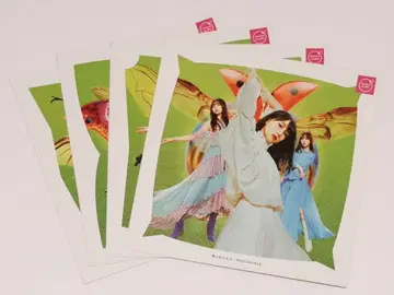 너에게 혼났어 사진 자켓 4종 세트 TSUTAYA 혜택 카키 하야카 외