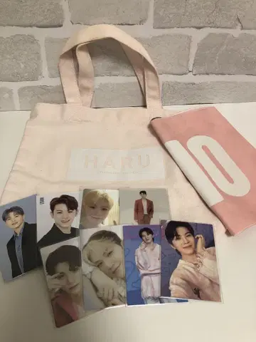 SEVENTEEN 우지 트레이딩 카드 슬로건 미니 백 세트