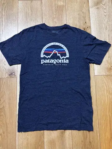 Patagonia 파타고니아 티셔츠