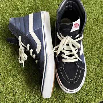 반스 SK-8