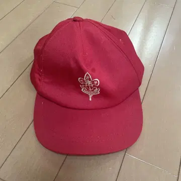 보이스카우트 빨간색 캡 페리핑