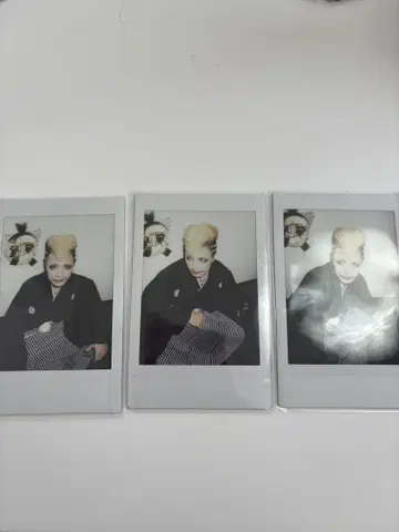 달콤한 폭력 의 폴라로이드