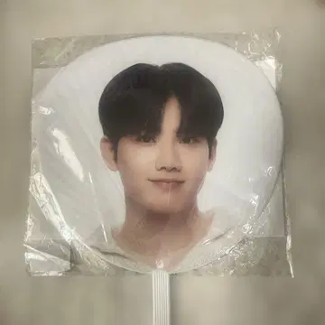 TREASURE JUNKYU 트레저 준규 부채 데코 스티커 포함