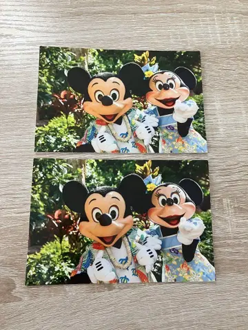 디즈니 미키 미니 AULANI 엽서