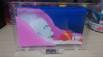 AKIRA 전 아크릴 스탠드 개봉 상품입니다.