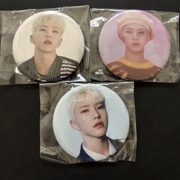 세부치 DREAM POPUP 캔뱃지 호시