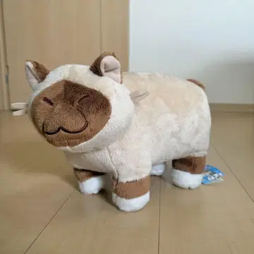 고양이 봉제 인형
