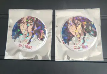 Dr.STONE 반짝이는 장면 캔뱃지 사자왕 2개