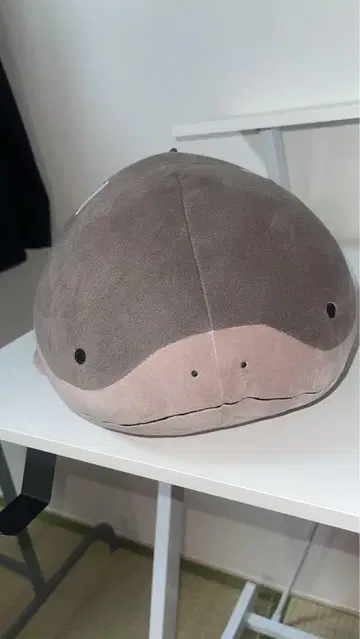 도오 메카모후토 봉제 인형 포켓몬스터