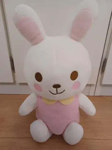 콤비 친구 토끼