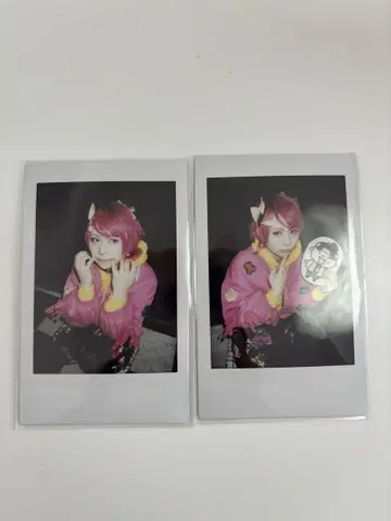 달콤한 폭력 케이 폴라로이드