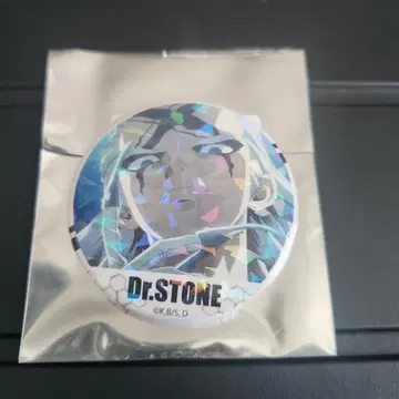 Dr.STONE 반짝이는 장면 캔뱃지 제노