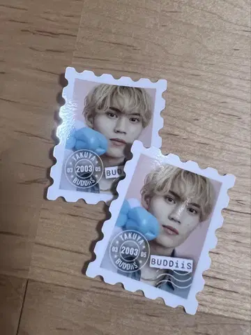 BUDDiiS 오오츠키 타쿠야 스크래치