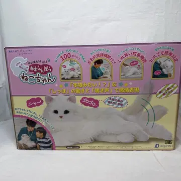 꼬리를 흔들며 애교를 부리는 고양이