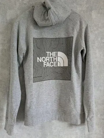 THE NORTH FACE 백 프린트 후드 부착 후드티 그레이