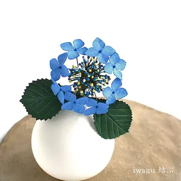iwagu 매듭, 겸손, 가쿠 수국, 이마 수국, 천 꽃, 브로치