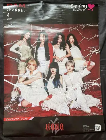 HANA B1 사이즈 포스터 DAM