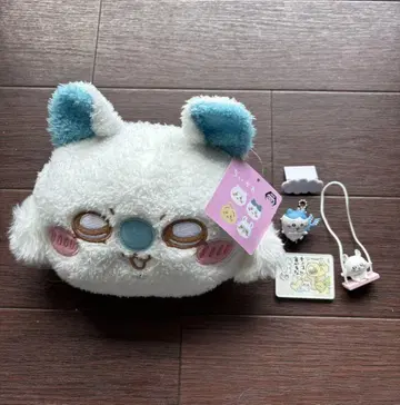 치이카와 모몽가 페이스 포시엣 덤 포함