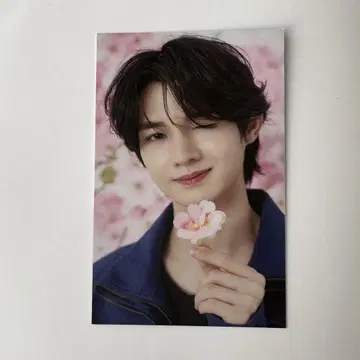 응원 하이 오우하이 하쿠 HAKU aoen 트레이딩 카드 포토 카드