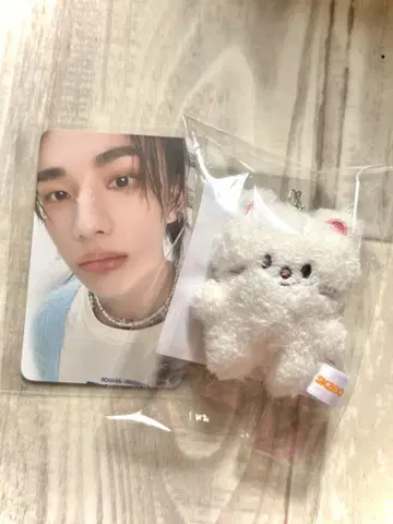 공식 현진 지니 레트 skzoo 마이크로 키링 stray kids