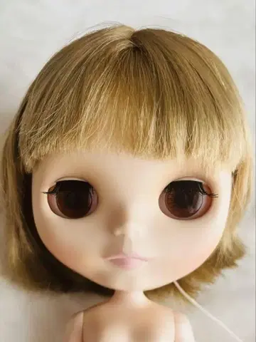 브라이스 블루미 블룸즈베리