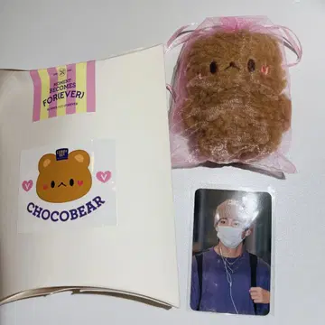 BTS 테테 태현 CHOCO BEAR 봉제 인형 마스터님 누나비님