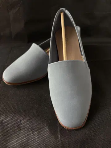 ALDO 로퍼 신발