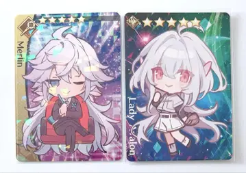 fgo fate 멀린 레이디 아발론