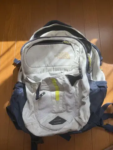 THE NORTH FACE 백팩 백팩 그레이/네이비