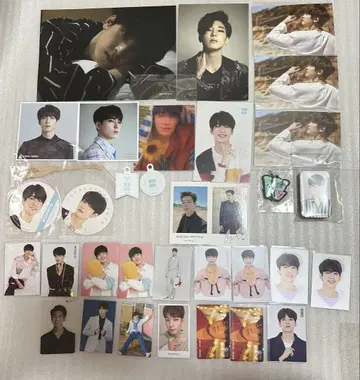 SEVENTEEN WONWOO 원우 세부치 굿즈