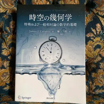 시공의 기하학 특수 및 일반 상대성 이론의 수학적 기초