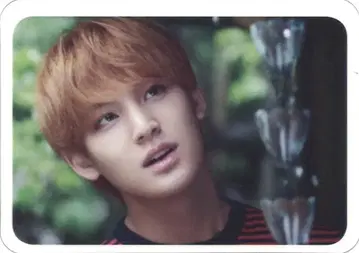 SEVENTEEN MINGYU D'ICON 클리어